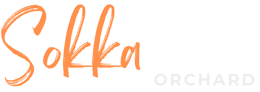 Sokka Hair Salon Orchard Singapore